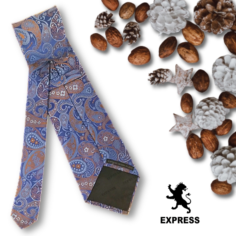 Express | Blue & Bronze Paisley 100% Italian Silk Necktie